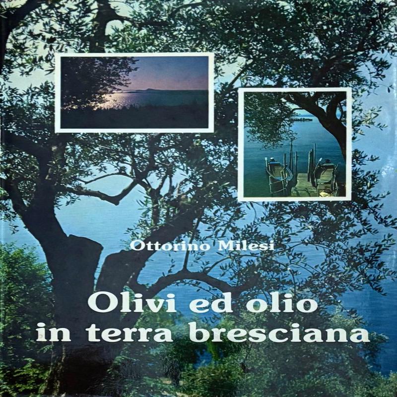 (*NEW ARRIVAL*) (Italian - Olives) Ottorino Milesi. Olivi ed Olio in Terra Bresciana