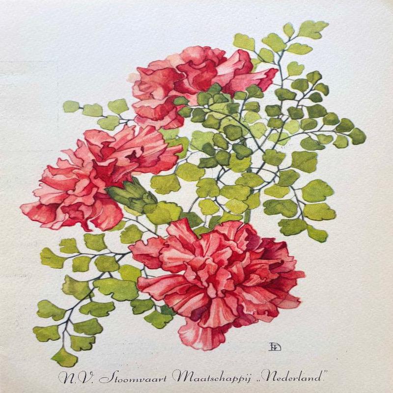 (*NEW ARRIVAL*) N.V. Stoomvaart Maatschappij \"Nederland\". Carnations