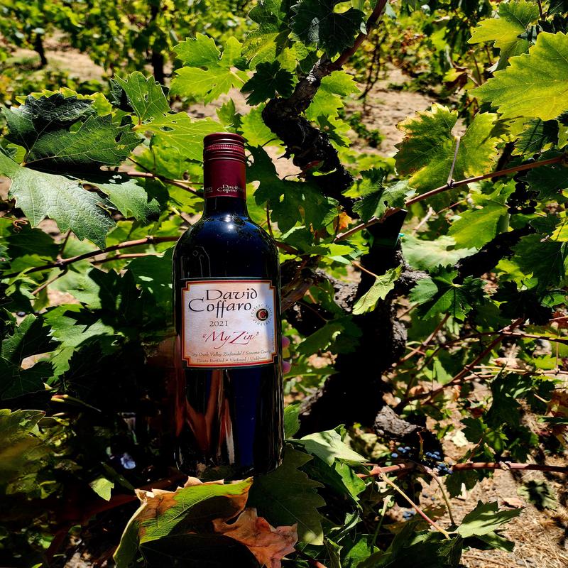 12-pk 2022 My Zin