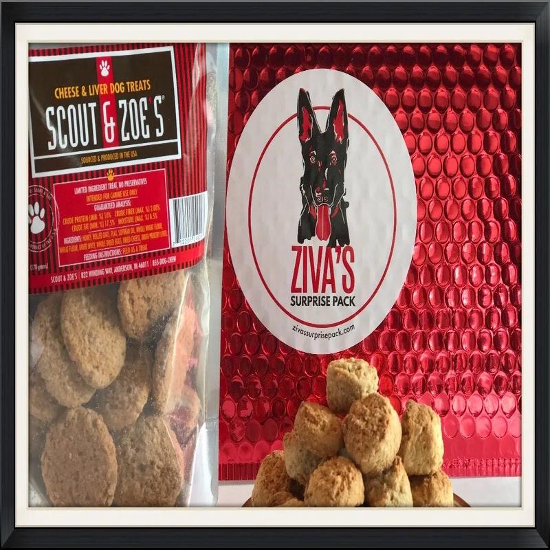 Ziva\'s Surprise Pack for Multiple Dog Homes